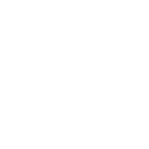 Curinsa.png