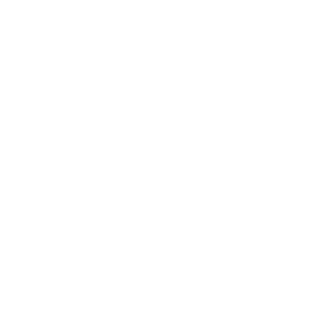 Guateseguro.png