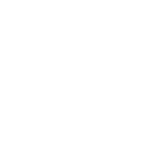 Puntalsa.png