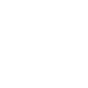Smart-Odu.png